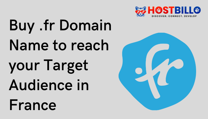 Buy .fr Domain Name to reach your Target Audience in France