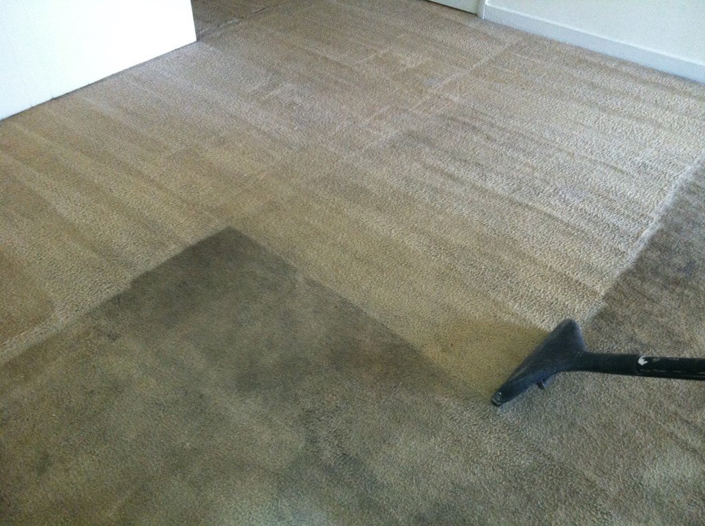 carpet cleaning price