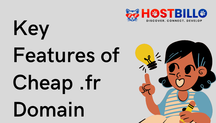 .fr Domain features