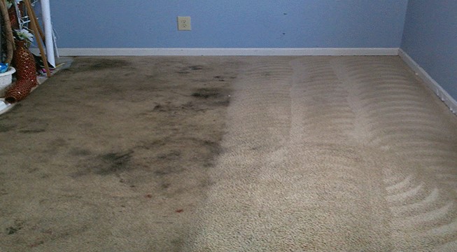 Home Remedies To Clean Your Carpets In Your Homes
