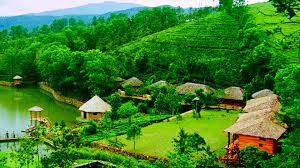 Popular Hill Stations in Kerala for Rejuvenating Energy