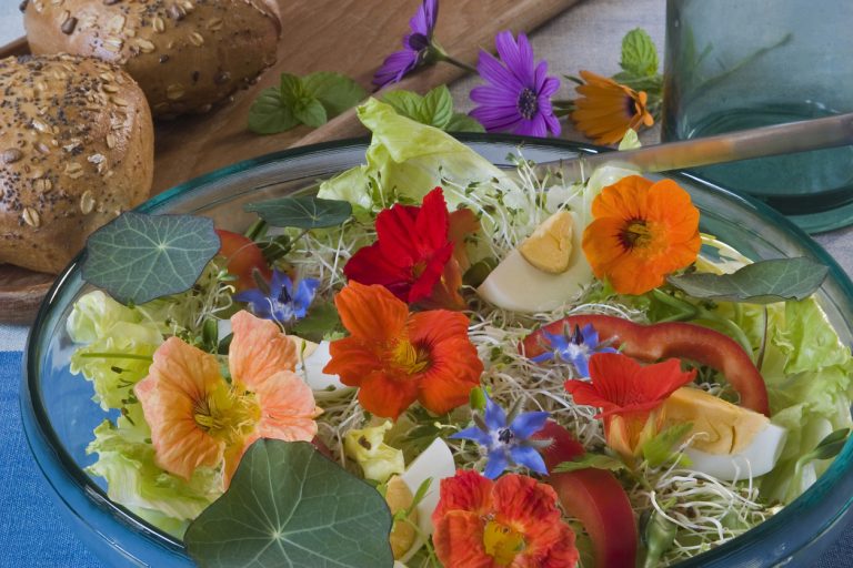 8 Tips To Grow Your Flowers Healthy