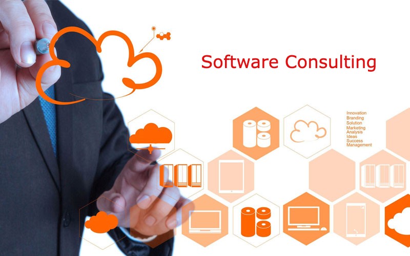 What kind of Software Consultancy Does Your Company Need?