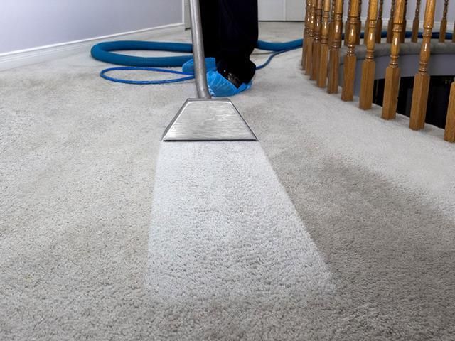 The Relation Between Carpet Cleaning And Hygiene