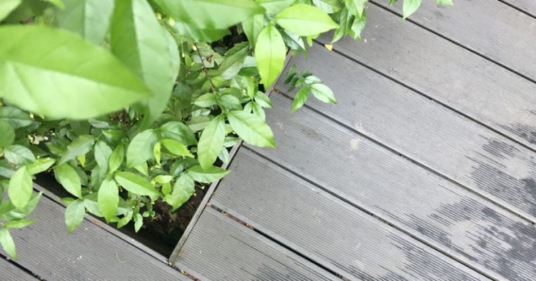 7 Most Common Decking Mistakes