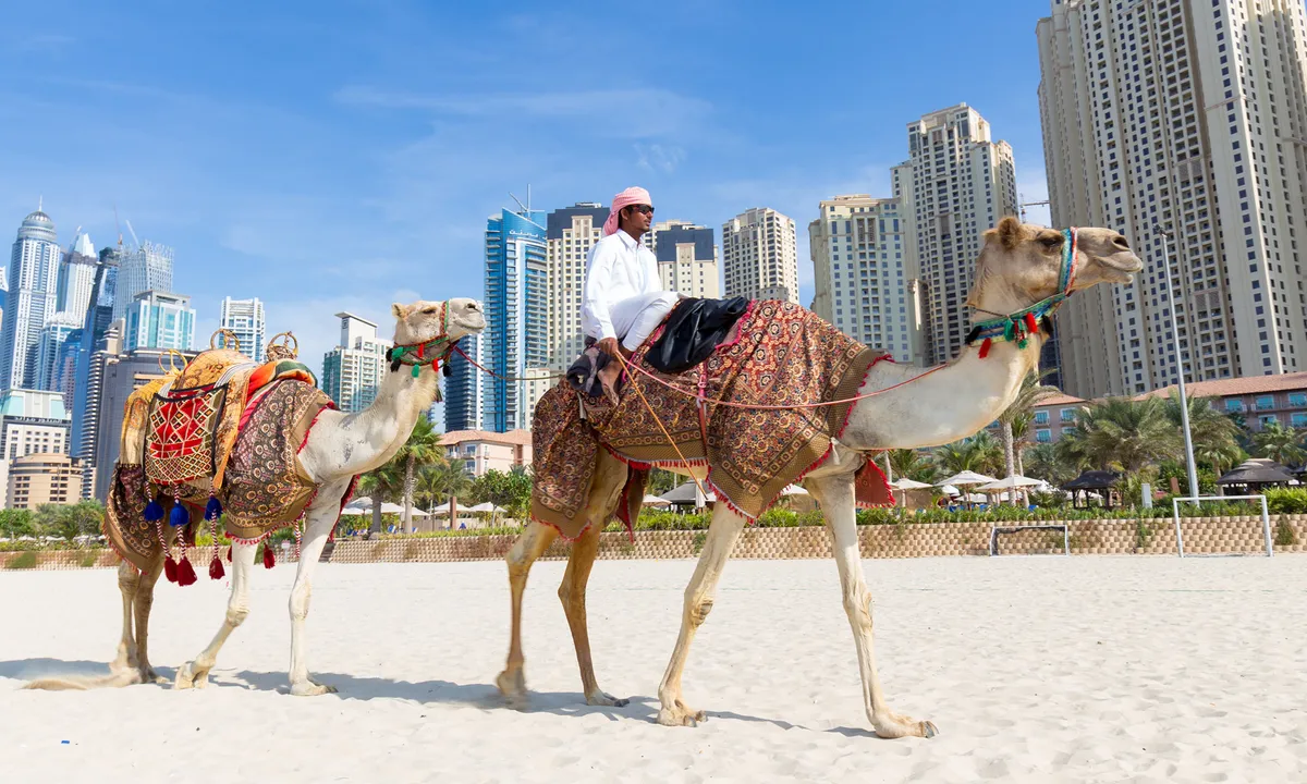 5 Best Things To Do In UAE [2022 Bucket List]