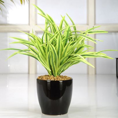 Best Artificial Plants for Home Decor
