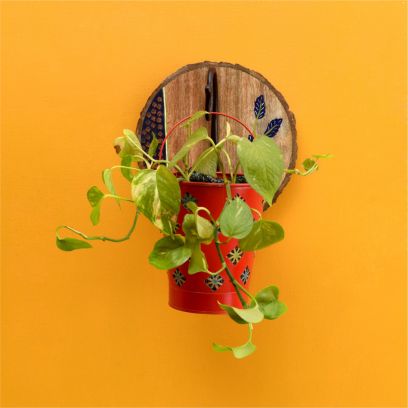 Trendy and Quirky Hanging Planters for Your Inside Garden 