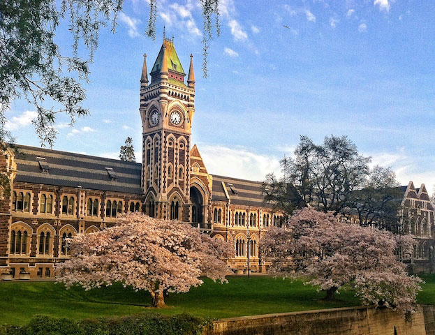 Studying at The University of Otago, New Zealand