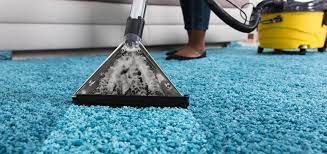 How to Choose the Right Carpet Cleaner for Your Home in Sydney