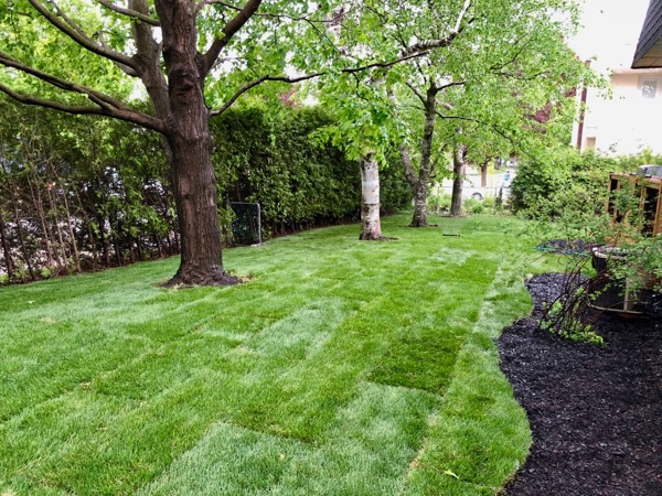 Sod Installation Ottawa – Where to Find Great Company: A blog about finding the best sod installation company in Ottawa
